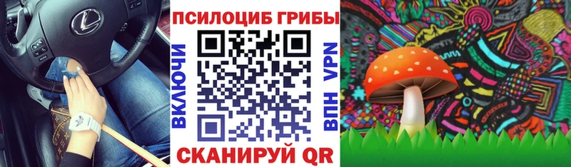 Псилоцибиновые грибы мицелий Гаврилов-Ям
